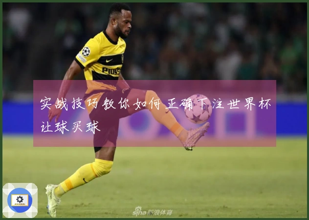 实战技巧教你如何正确下注世界杯让球买球