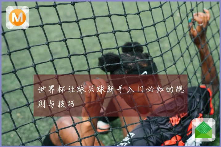 世界杯让球买球新手入门必知的规则与技巧