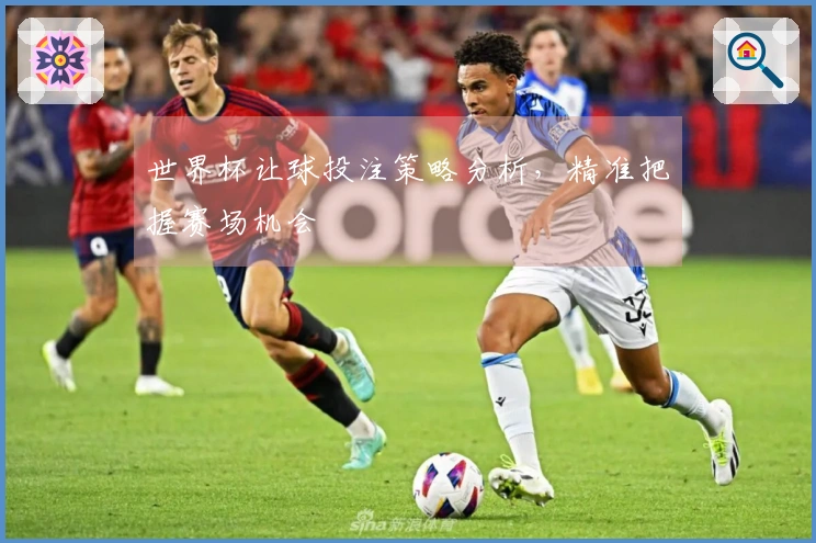 世界杯让球投注策略分析，精准把握赛场机会