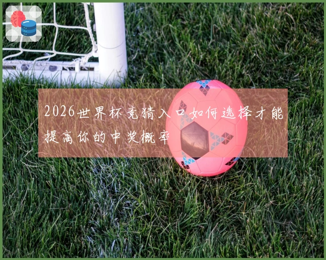 2026世界杯竞猜入口如何选择才能提高你的中奖概率