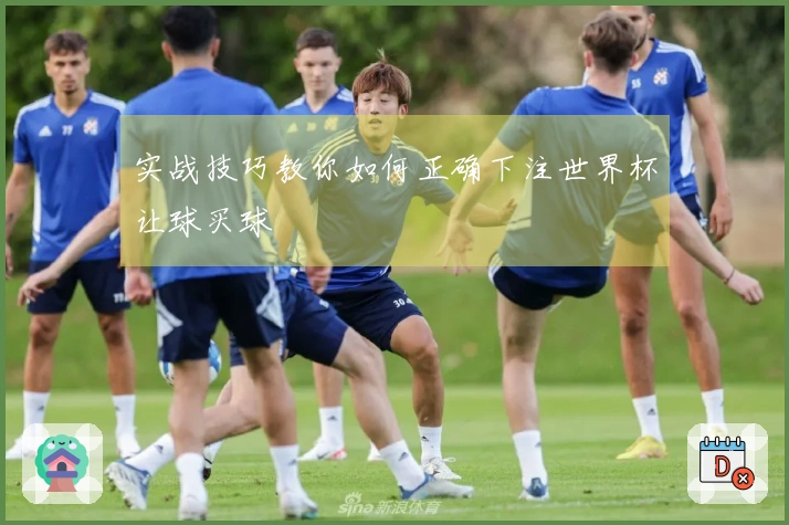 实战技巧教你如何正确下注世界杯让球买球