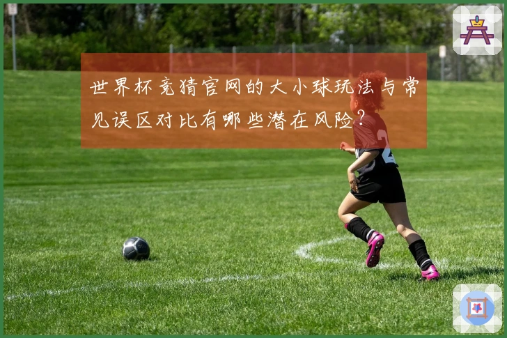 世界杯竞猜官网的大小球玩法与常见误区对比有哪些潜在风险？