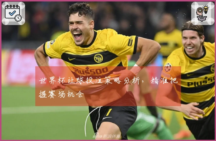 世界杯让球投注策略分析，精准把握赛场机会