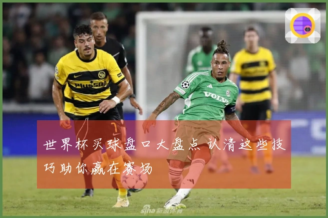 世界杯买球盘口大盘点 认清这些技巧助你赢在赛场