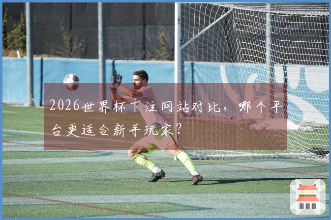 2026世界杯下注网站对比，哪个平台更适合新手玩家？