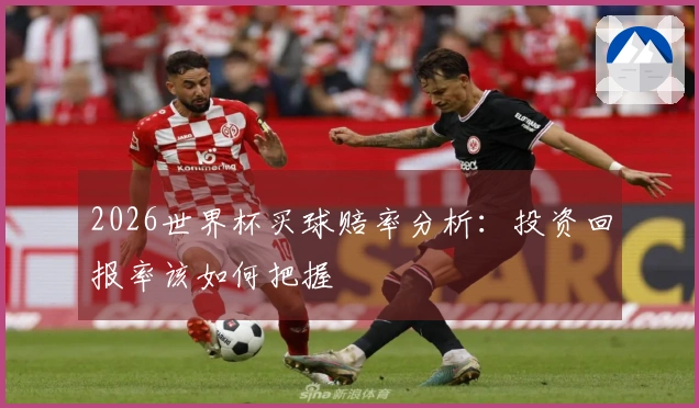 2026世界杯买球赔率分析：投资回报率该如何把握