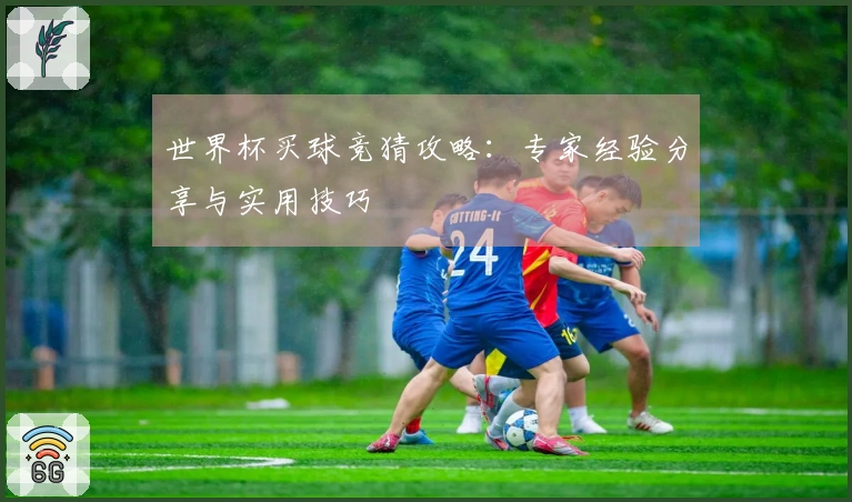 世界杯买球竞猜攻略：专家经验分享与实用技巧