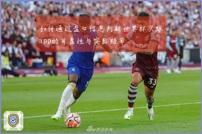 如何通过盘口信息判断世界杯买球app的可靠性与实际赔率