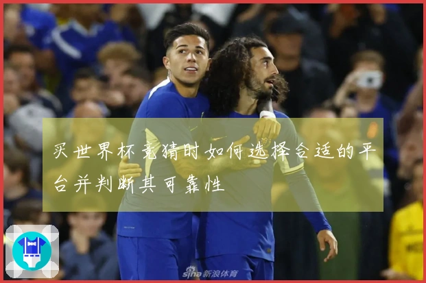 买世界杯竞猜时如何选择合适的平台并判断其可靠性