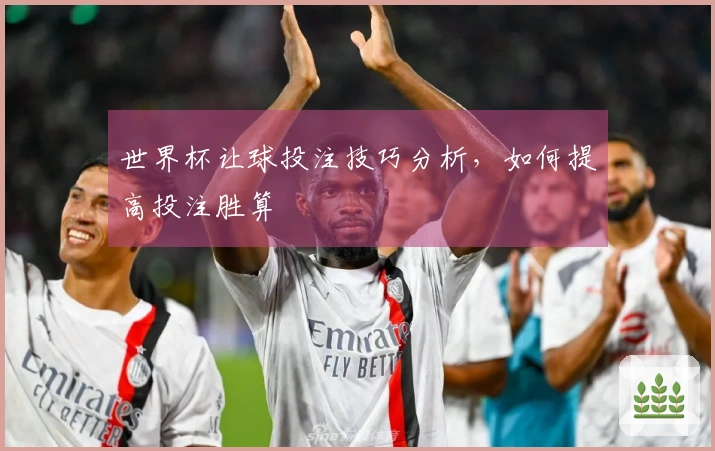 世界杯让球投注技巧分析，如何提高投注胜算