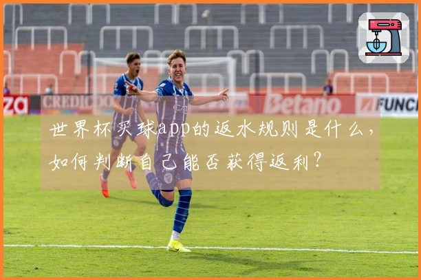 世界杯买球app的返水规则是什么，如何判断自己能否获得返利？