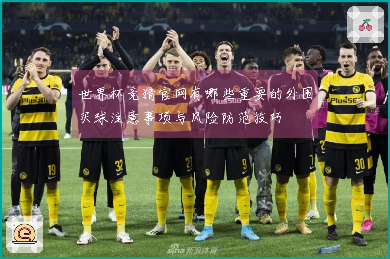 世界杯竞猜官网有哪些重要的外围买球注意事项与风险防范技巧