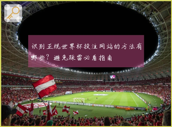 识别正规世界杯投注网站的方法有哪些？避免踩雷必看指南