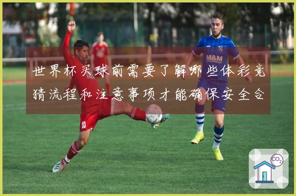 世界杯买球前需要了解哪些体彩竞猜流程和注意事项才能确保安全合规