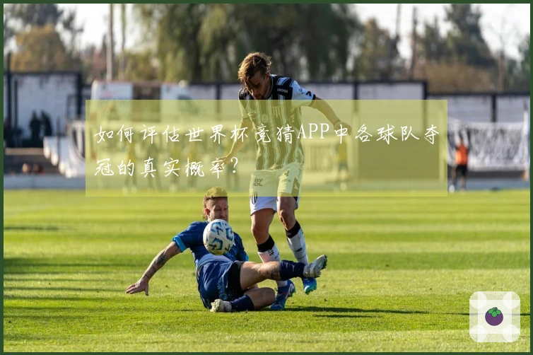 如何评估世界杯竞猜APP中各球队夺冠的真实概率？