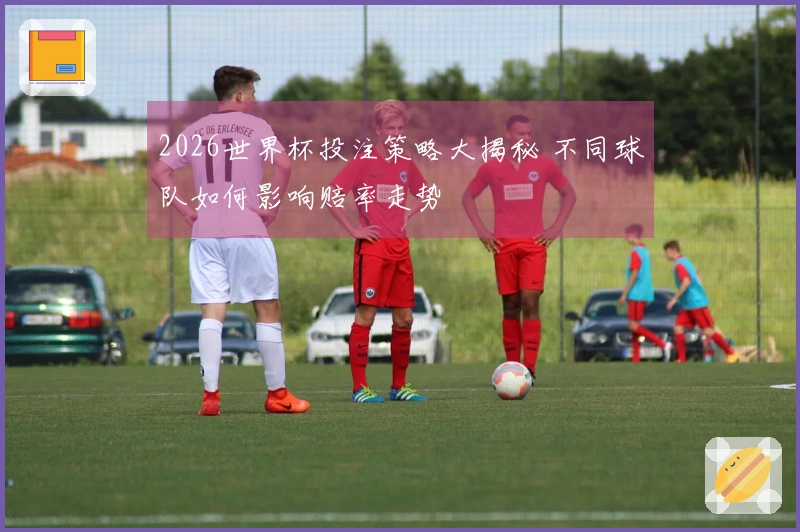 2026世界杯投注策略大揭秘 不同球队如何影响赔率走势