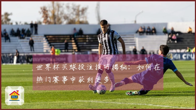 世界杯买球投注技巧揭秘：如何在热门赛事中获利更多