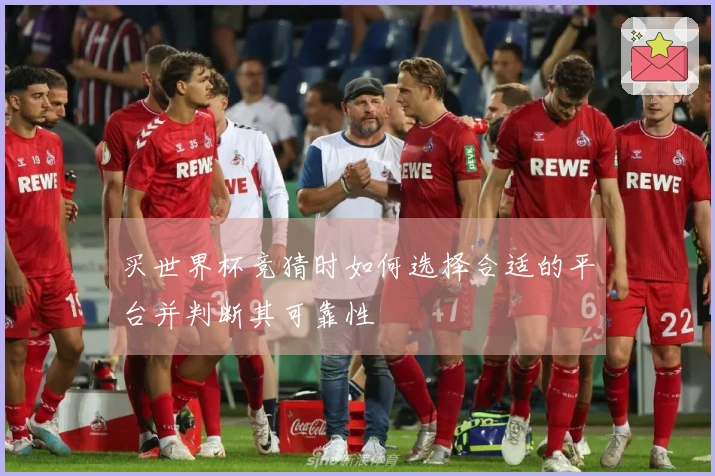 买世界杯竞猜时如何选择合适的平台并判断其可靠性