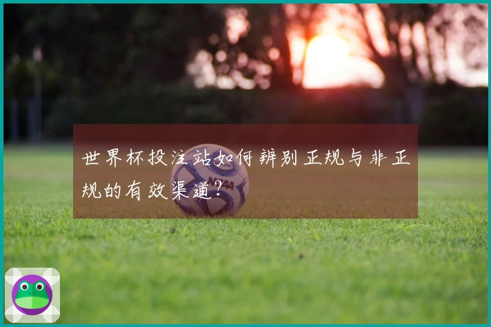世界杯投注站如何辨别正规与非正规的有效渠道？