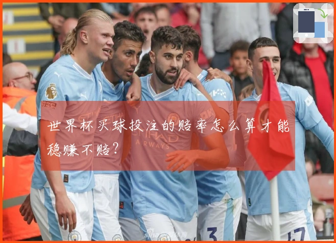 世界杯买球投注的赔率怎么算才能稳赚不赔？