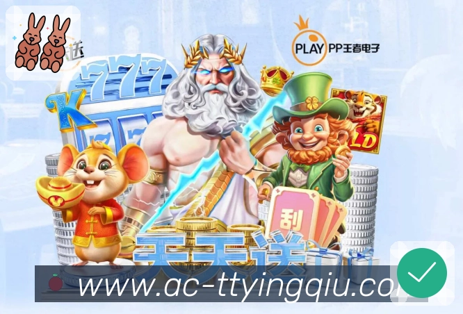 奖项证书